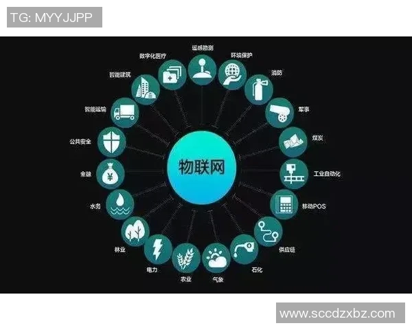 珠海球星卡店足球发展现状与未来潜力分析